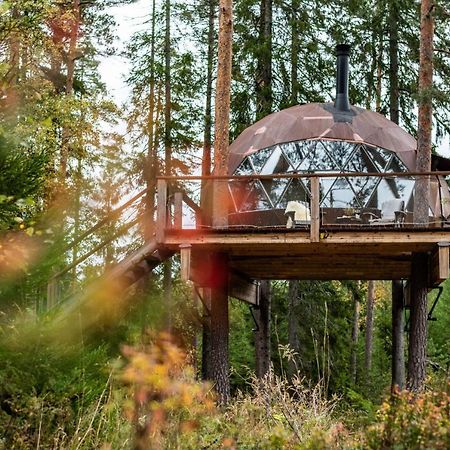 Hotel Treehouse Dome Vidnes Exterior foto